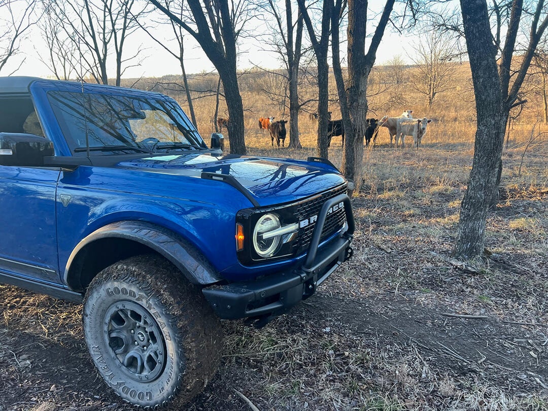 February 2024 Events photos