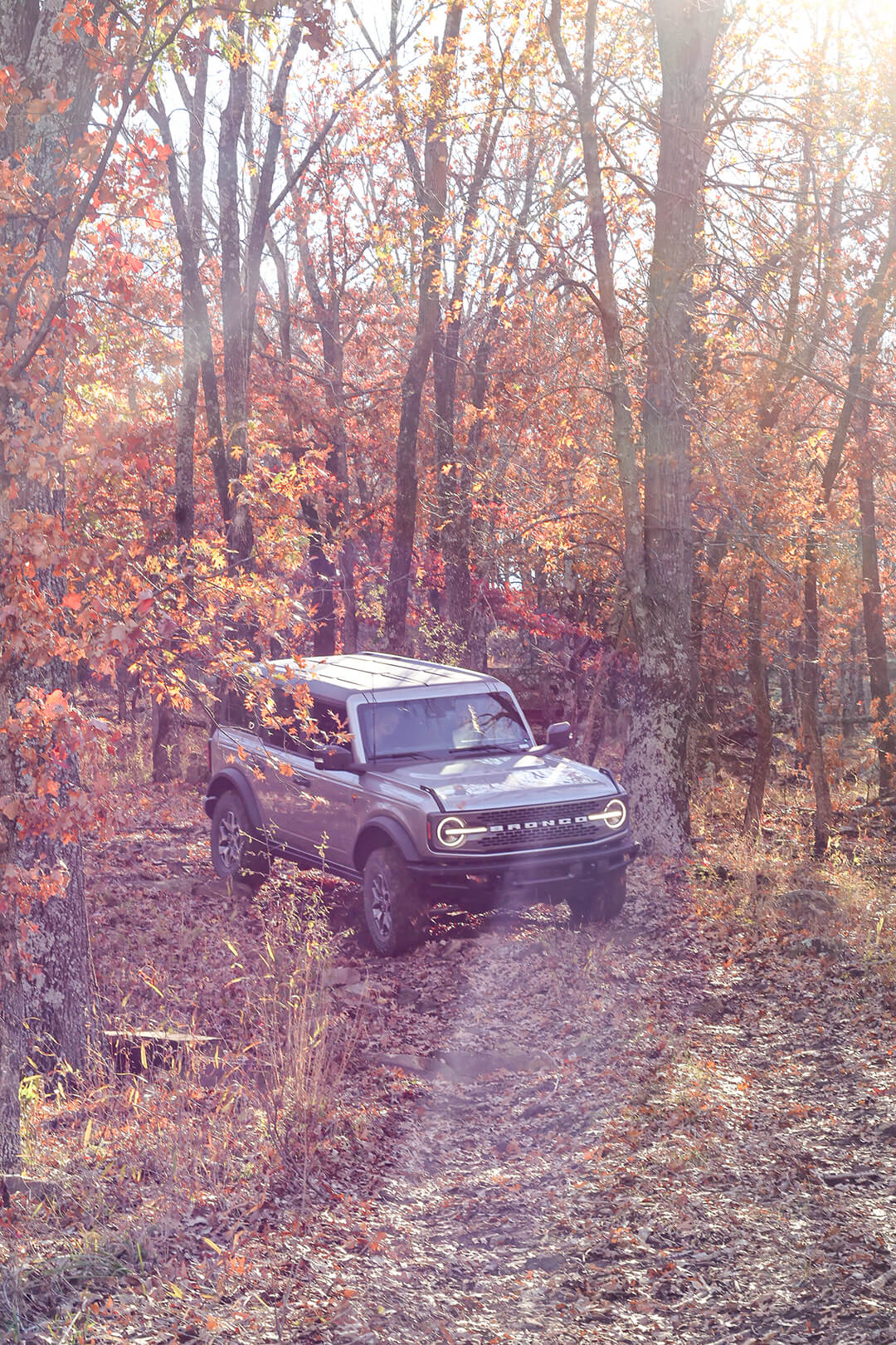 November 2024 Events photos