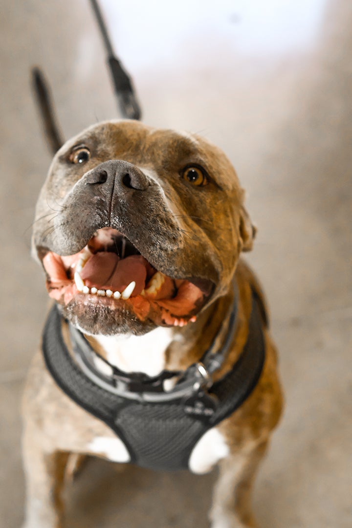 July 2025 Events photos